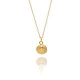 Gold Cockle Shell Necklace