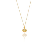 Gold Cockle Shell Earrings & Necklace Set
