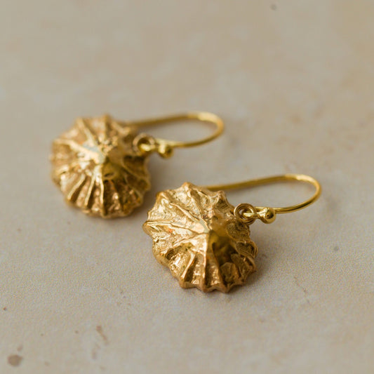 Handmade recycled gold limpet shell drop earrings by Iris and Lolli, ocean inspired and crafted in the UK