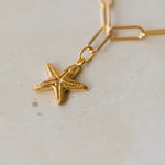 close up of gold vermeil starfish charm on paperclip chain bracelet, handcrafted ocean inspired design by Iris & Lolli