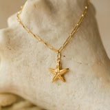 gold vermeil starfish charm bracelet with paperclip chain draped over natural seashell, handcrafted coastal jewellery by Iris & Lolli