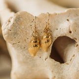 Gold Baby Whelk Shell Earrings & Necklace Set