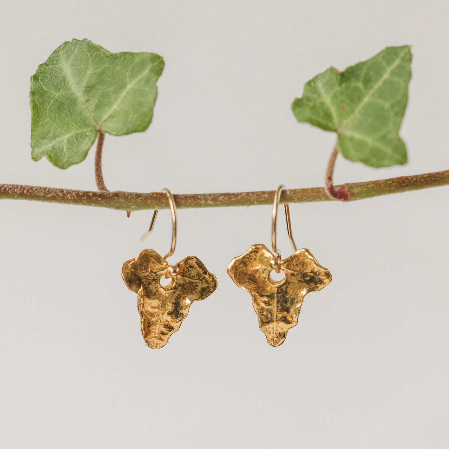 Gold Ivy Leaf Earrings