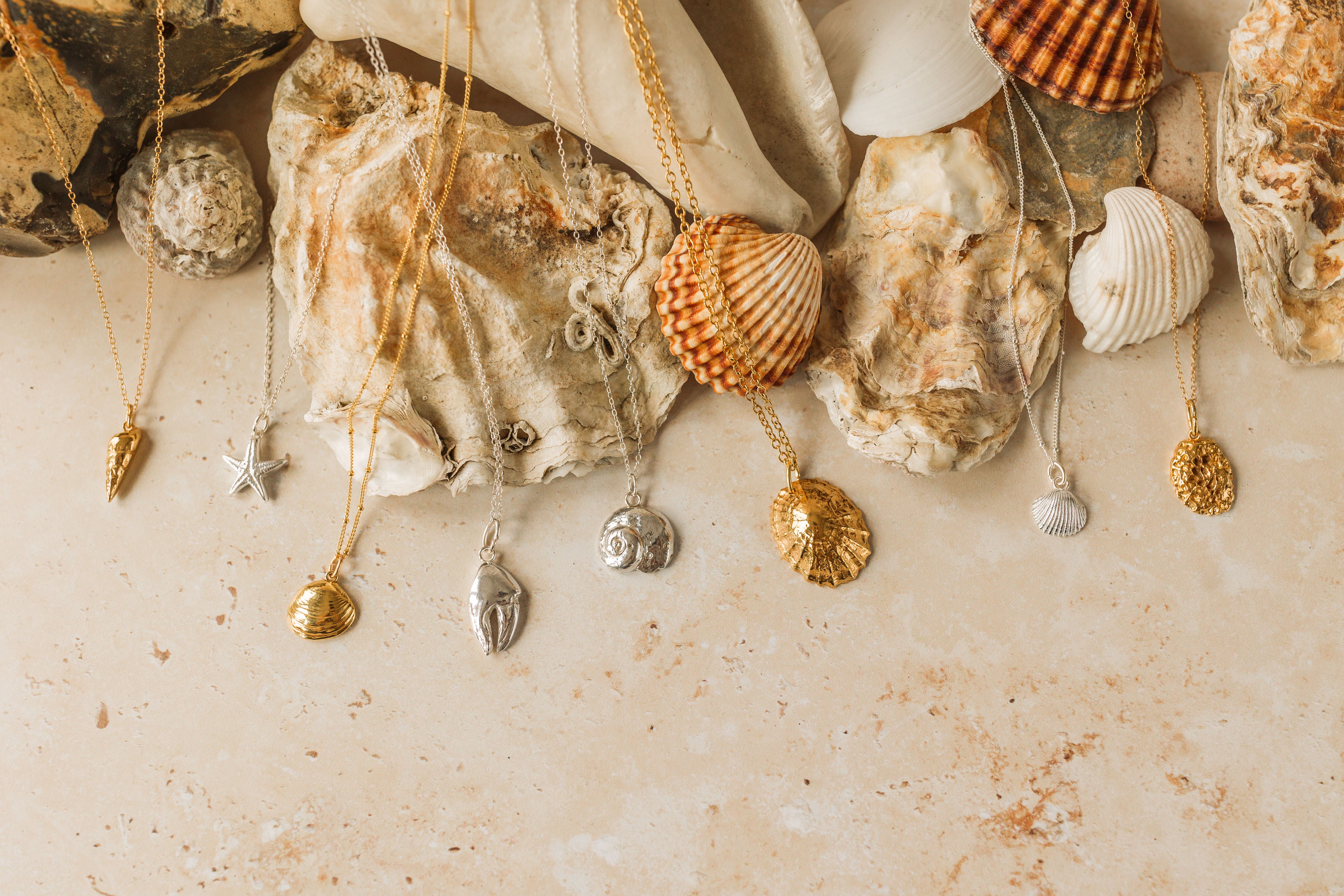 Coastal shell jewellery in silver and gold displayed with natural shells