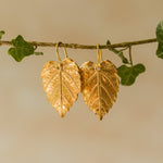Handmade recycled gold Hazel Leaf earrings by Iris and Lolli hanging from an ivy branch, featuring detailed natural leaf texture and a warm woodland-inspired glow