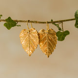 Handmade recycled gold Hazel Leaf earrings by Iris and Lolli hanging from an ivy branch, featuring detailed natural leaf texture and a warm woodland-inspired glow