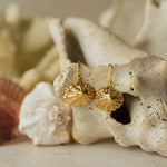 Handmade recycled gold limpet shell drop earrings by Iris and Lolli displayed on natural coastal shells, inspired by the sea and crafted in the UK