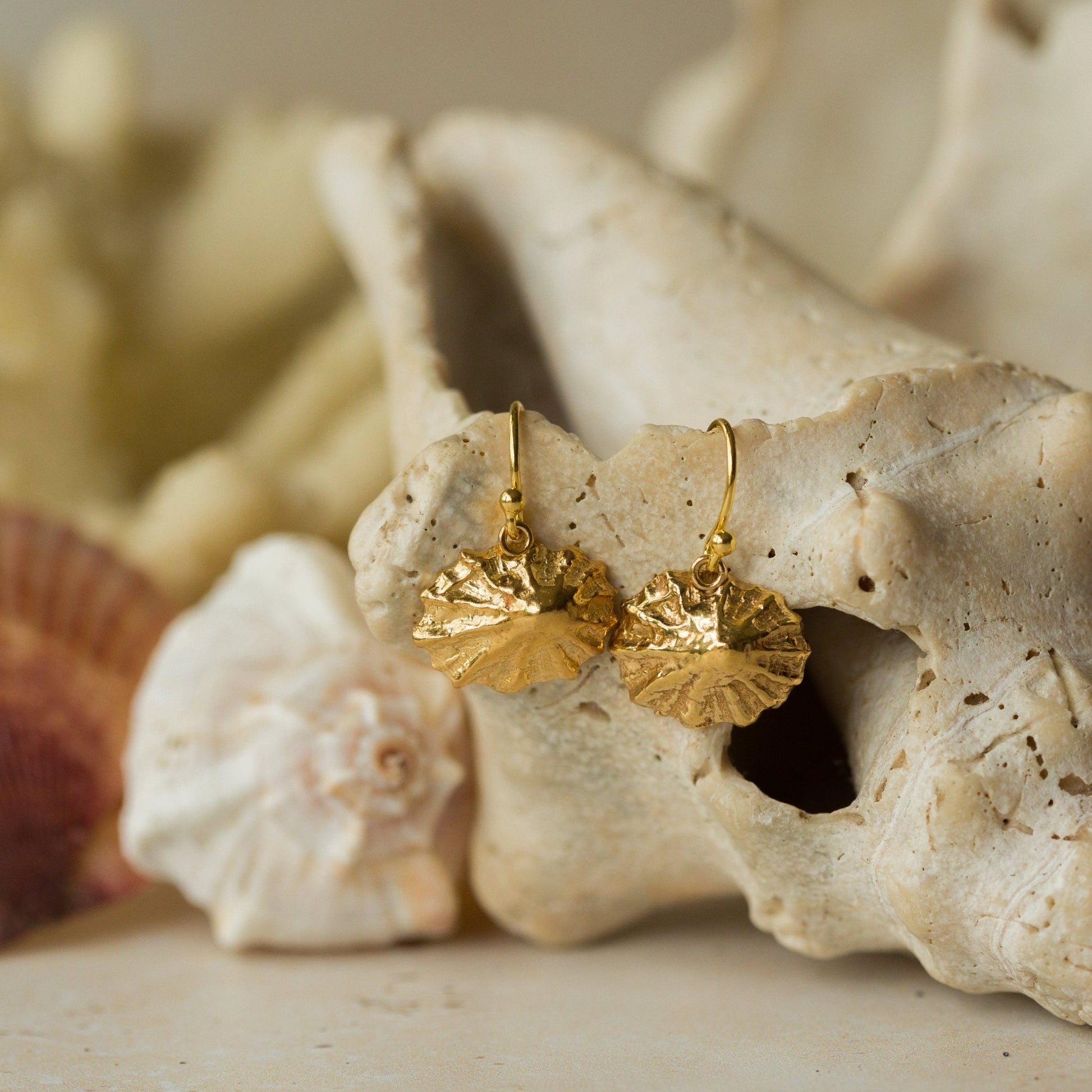 Handmade recycled gold limpet shell drop earrings by Iris and Lolli displayed on natural coastal shells, inspired by the sea and crafted in the UK