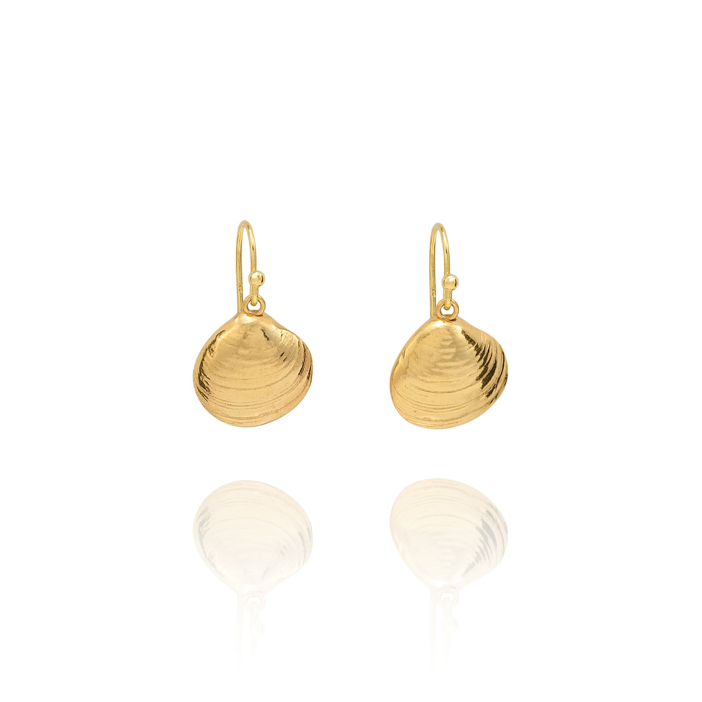 Handmade recycled gold Venus clam shell drop earrings by Iris and Lolli on white background, ocean inspired and crafted in the UK