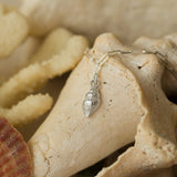 recycled silver whelk shell charm bracelet with paperclip chain draped over natural seashell by Iris & Lolli