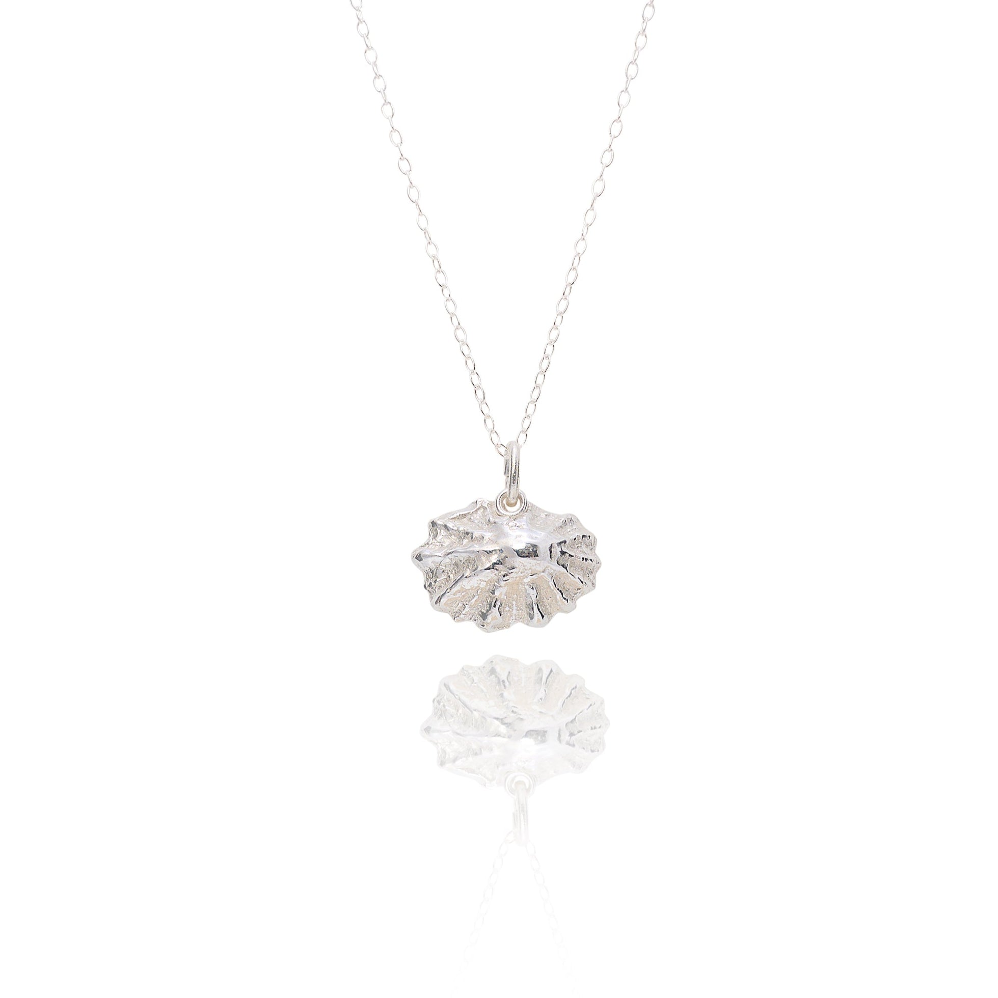 Handmade Silver Limpet Shell Necklace - Iris & Lolli