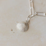 detailed view of silver cockle shell charm bracelet on paperclip chain, coastal-inspired handcrafted jewellery by Iris & Lolli