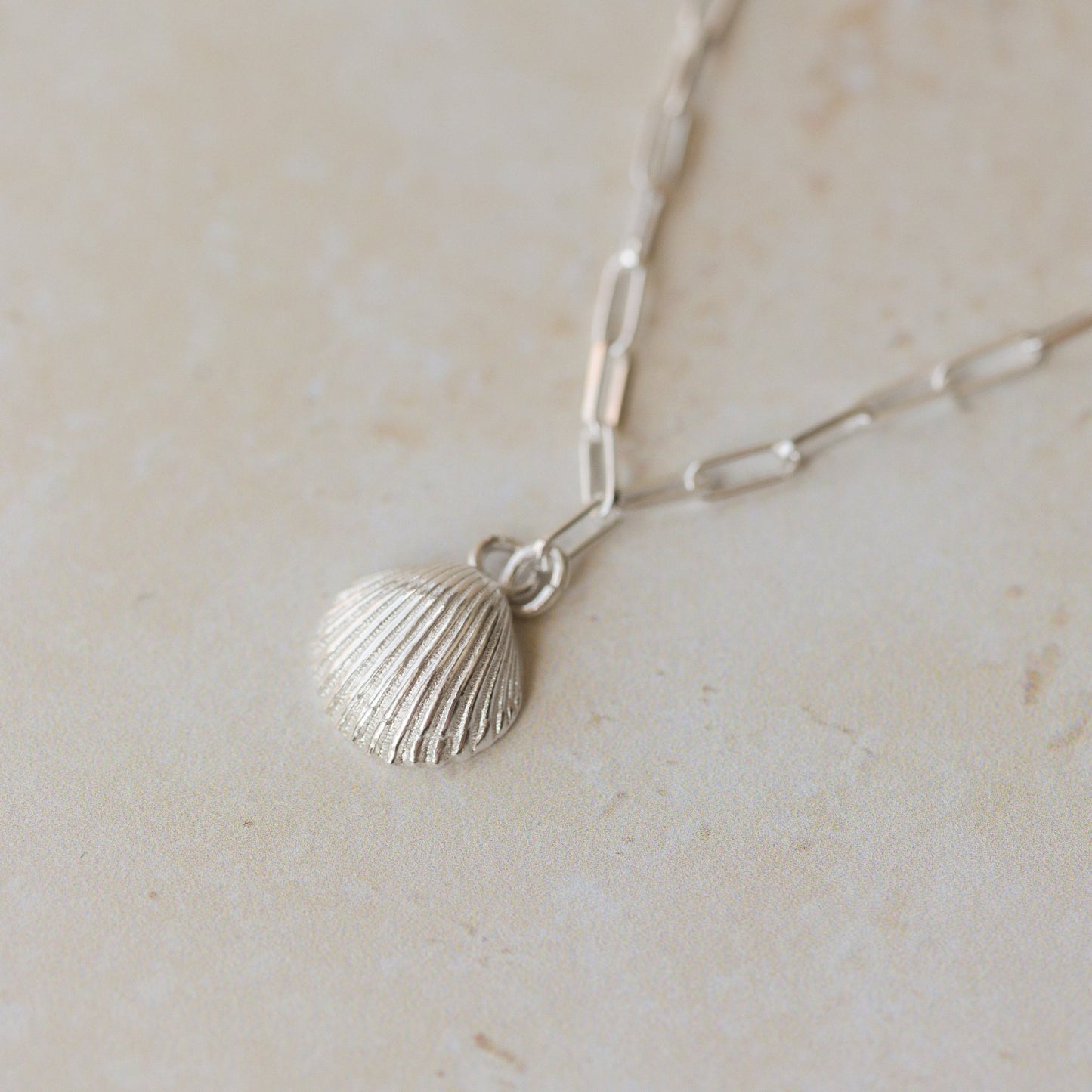 silver cockle shell charm bracelet with paperclip chain photographed on neutral stone background, handcrafted ocean-inspired jewellery by Iris & Lolli