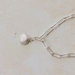 recycled silver cockle shell charm bracelet with paperclip chain on stone surface, handcrafted coastal jewellery by Iris & Lolli