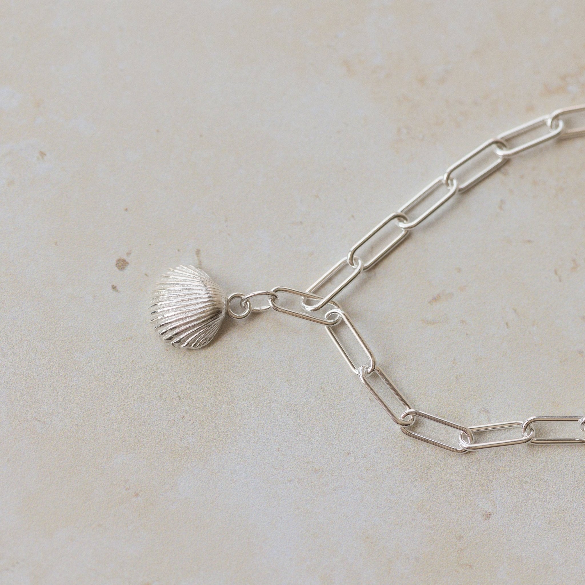 recycled silver cockle shell charm bracelet with paperclip chain on stone surface, handcrafted coastal jewellery by Iris & Lolli