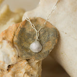 silver cockle shell charm bracelet displayed on natural rocks with neutral tones, coastal-inspired handmade jewellery by Iris & Lolli