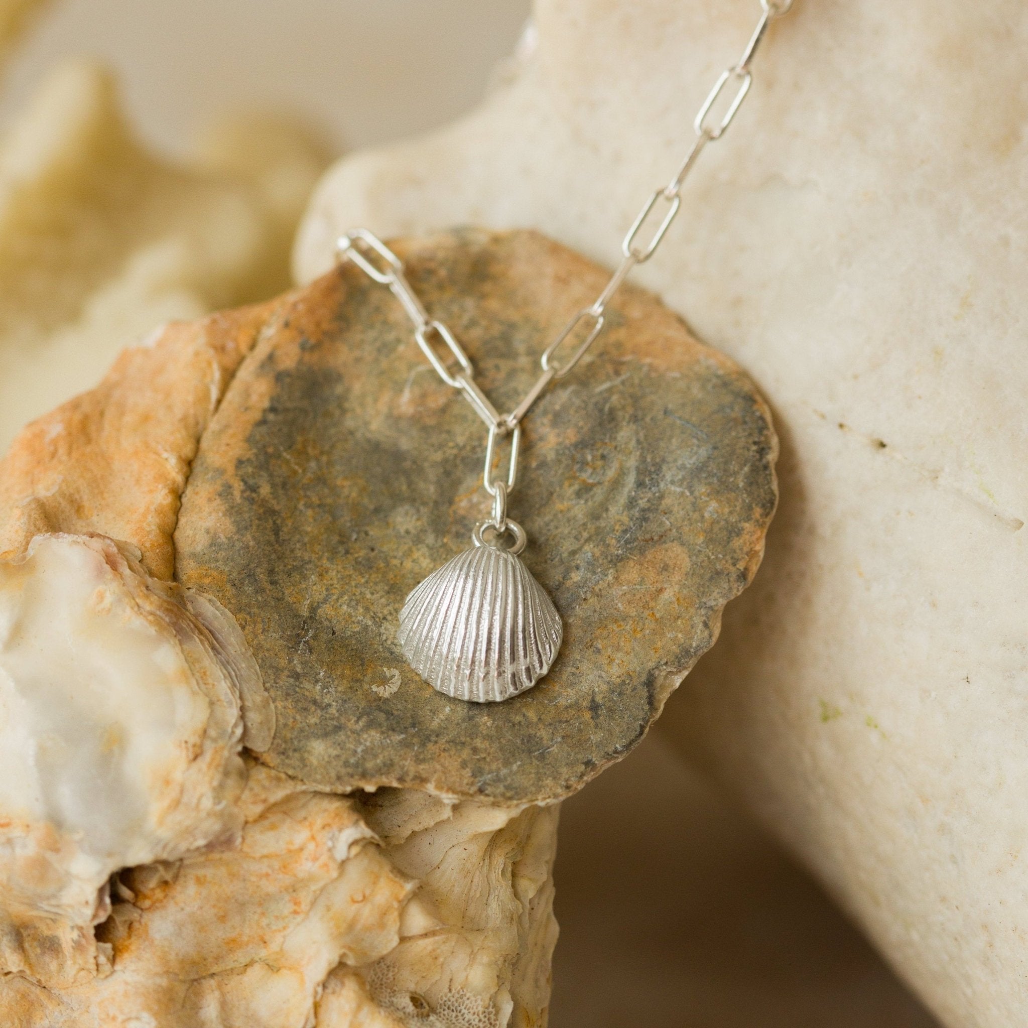 silver cockle shell charm bracelet displayed on natural rocks with neutral tones, coastal-inspired handmade jewellery by Iris & Lolli