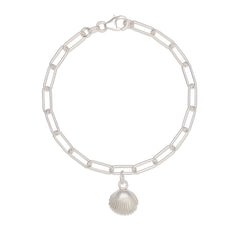 recycled silver cockle shell charm bracelet with paperclip chain on white background, handcrafted coastal jewellery by Iris & Lolli