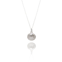Handmade Silver Baby Cockle Shell Necklace