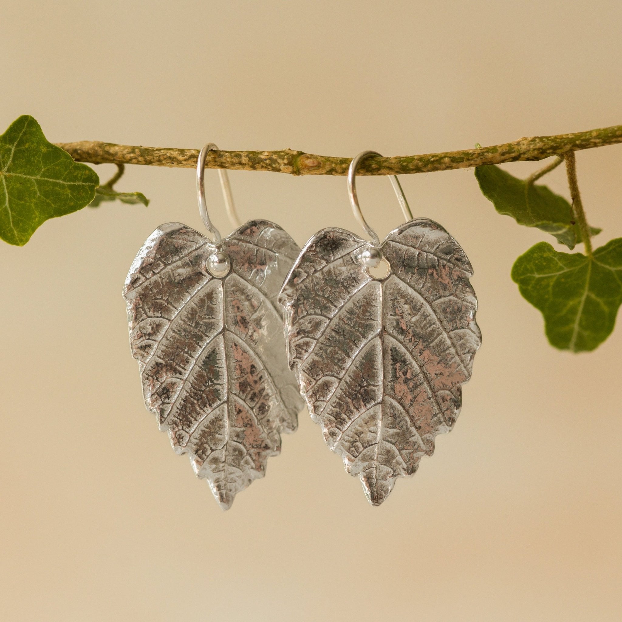 Handmade recycled silver Hazel Leaf earrings by Iris and Lolli hanging from an ivy branch, showing detailed leaf texture and natural botanical inspiration