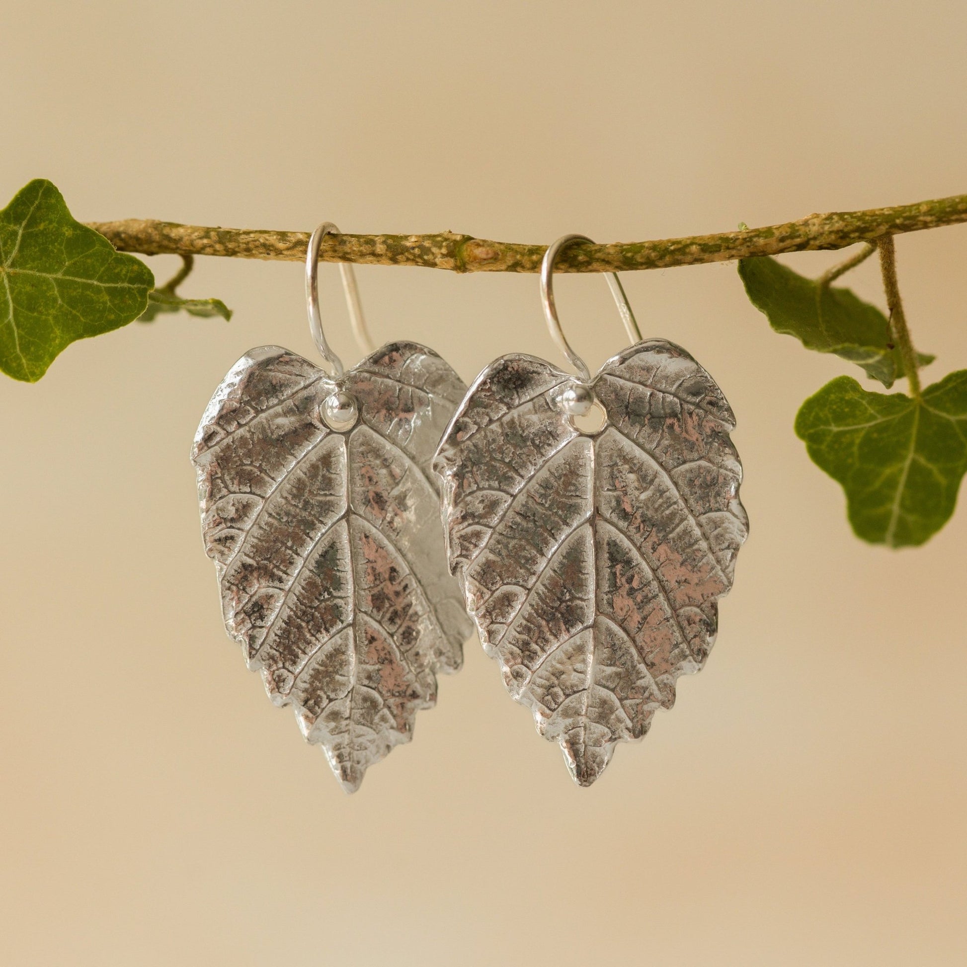 Handmade recycled silver Hazel Leaf earrings by Iris and Lolli hanging from an ivy branch, showing detailed leaf texture and natural botanical inspiration