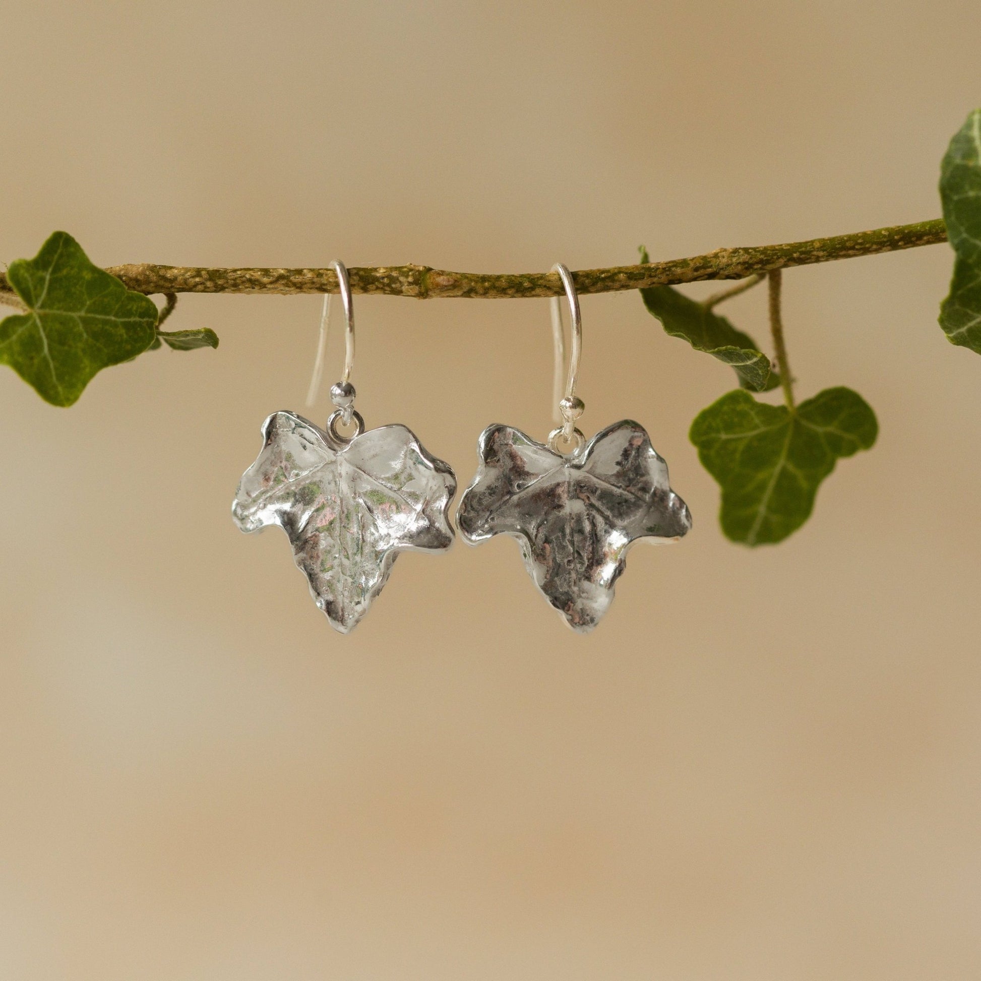 Handmade recycled silver Ivy Leaf earrings by Iris and Lolli hanging from a branch with green ivy leaves, highlighting their organic shape and natural woodland texture