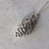 Alder - Iris & Lolli