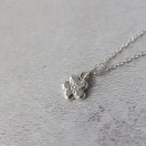 Forget Me Not - Iris & Lolli