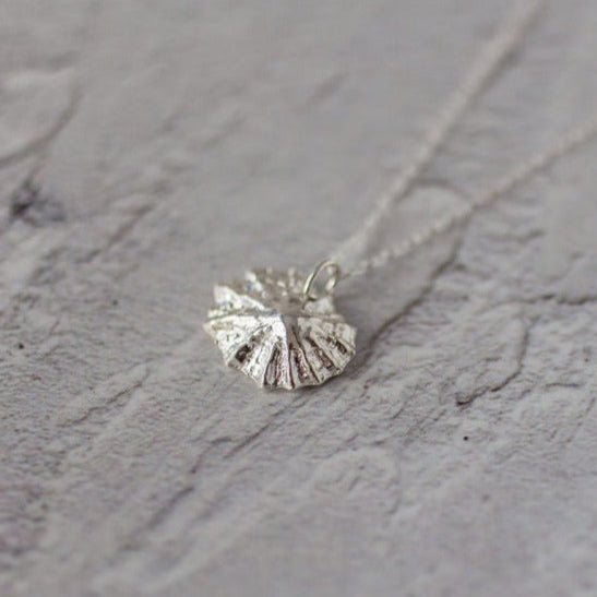 Handmade Silver Limpet Shell Necklace - Iris & Lolli
