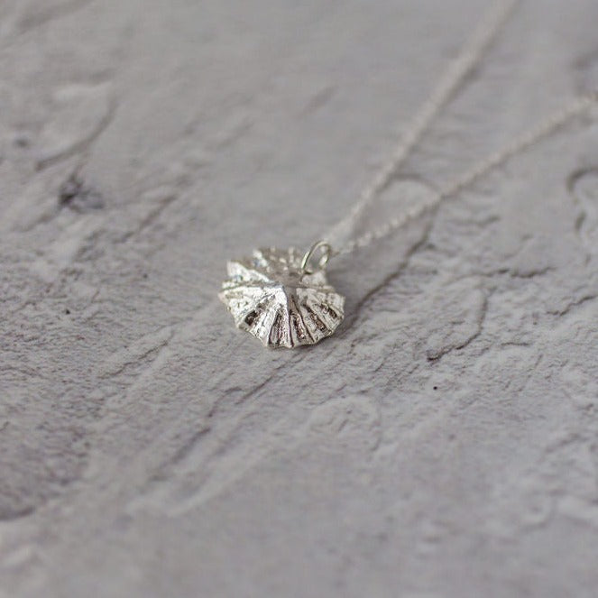 Handmade Silver Limpet Shell Necklace - Iris & Lolli