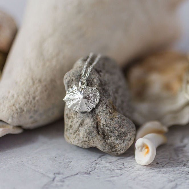 Handmade Silver Limpet Shell Necklace - Iris & Lolli