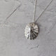 Silver Statement Limpet Shell Necklace