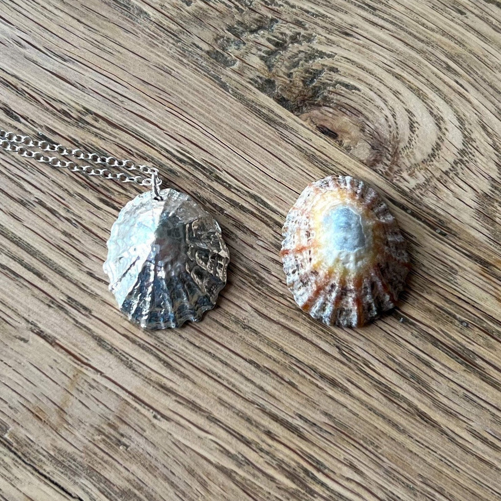 Handmade Silver Limpet Statement Shell Necklace - Iris & Lolli